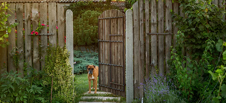 Winter Garden Garage Door Repair in St. Catharines,Ontario