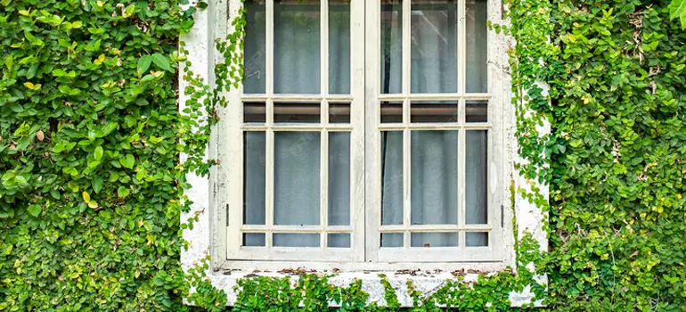 Garden Window Repair Near Me in St. Catharines, ON