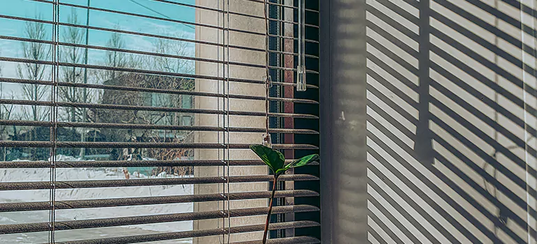 Commercial Window Blinds in St. Catharines, ON