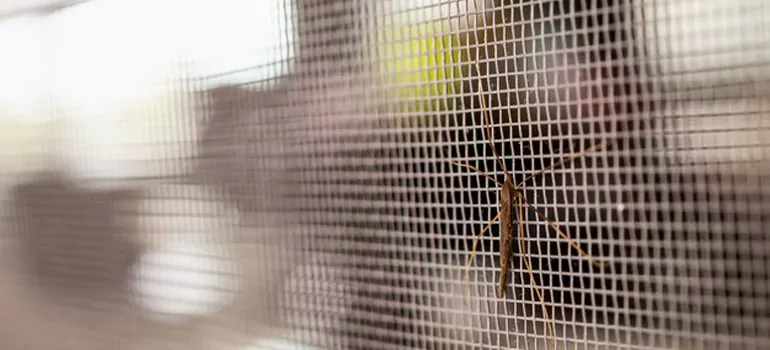 Repair Mosquito Mesh For Windows in St. Catharines, Ontario