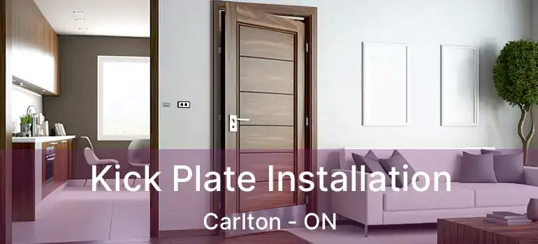  Kick Plate Installation Carlton - ON