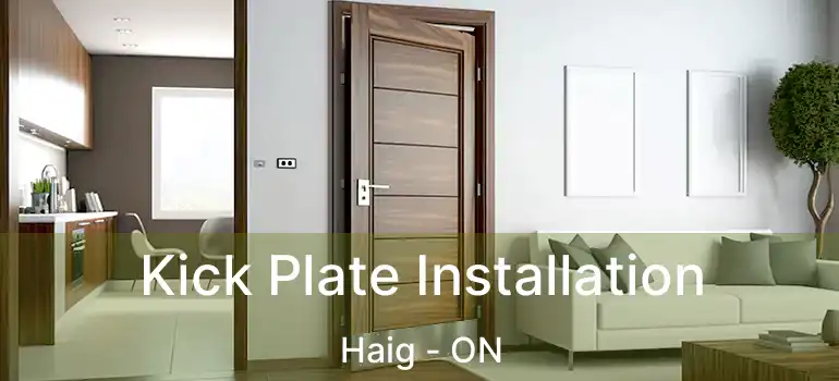  Kick Plate Installation Haig - ON