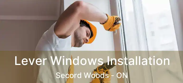  Lever Windows Installation Secord Woods - ON
