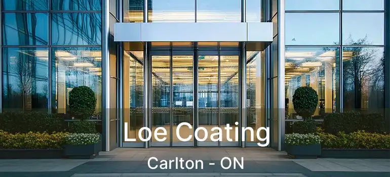  Loe Coating Carlton - ON
