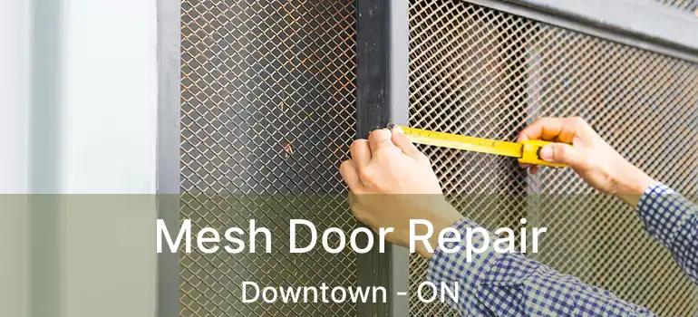 Mesh Door Repair Downtown - ON