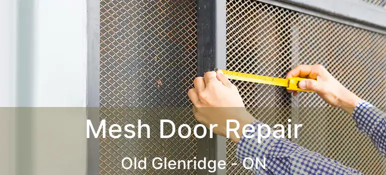  Mesh Door Repair Old Glenridge - ON