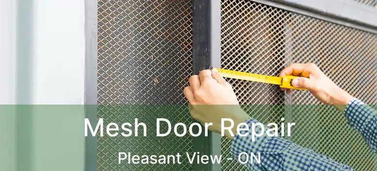 Mesh Door Repair Pleasant View - ON