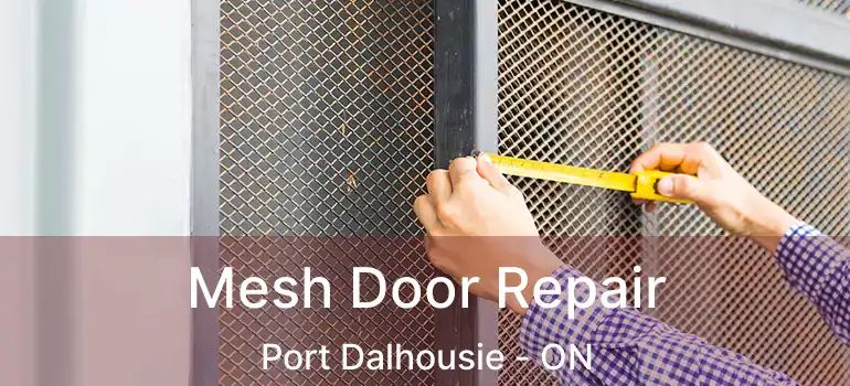 Mesh Door Repair Port Dalhousie - ON