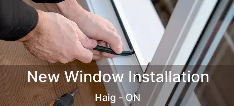  New Window Installation Haig - ON