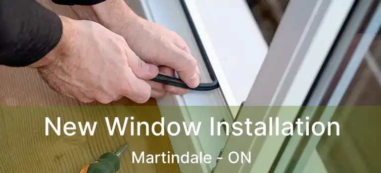  New Window Installation Martindale - ON