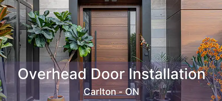 Overhead Door Installation Carlton - ON