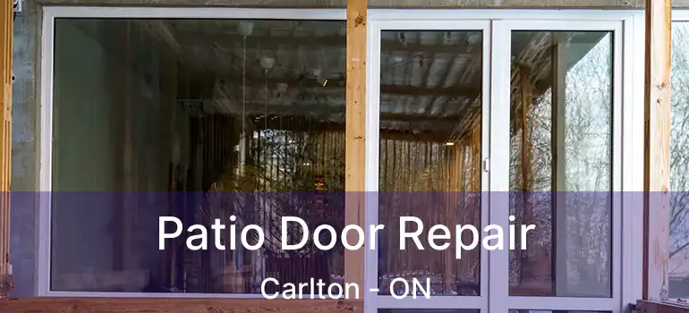  Patio Door Repair Carlton - ON