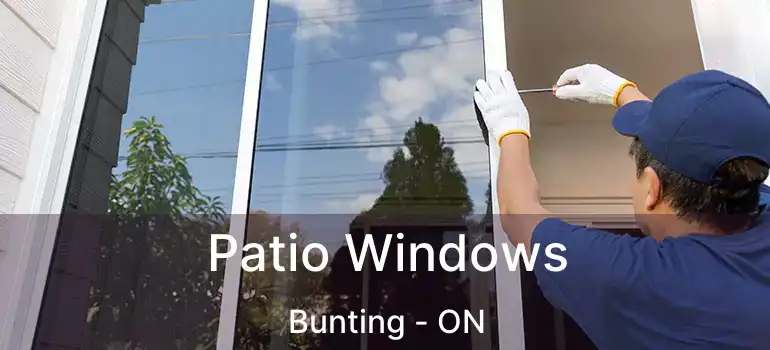  Patio Windows Bunting - ON