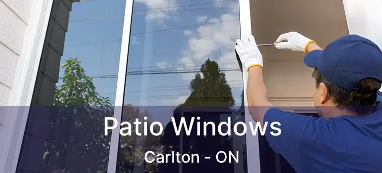  Patio Windows Carlton - ON