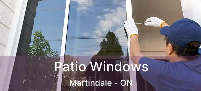 Patio Windows Martindale - ON