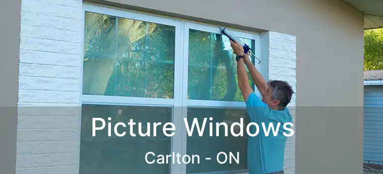  Picture Windows Carlton - ON