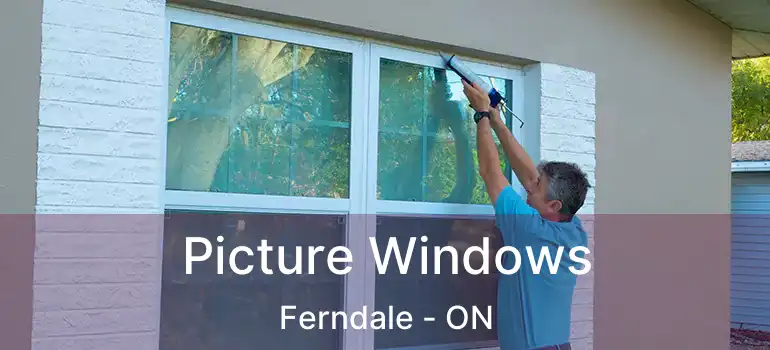 Picture Windows Ferndale - ON