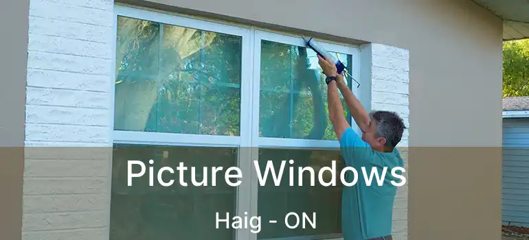  Picture Windows Haig - ON