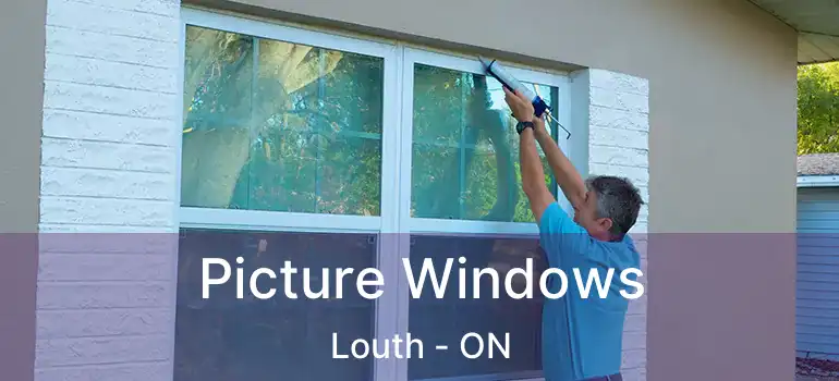  Picture Windows Louth - ON