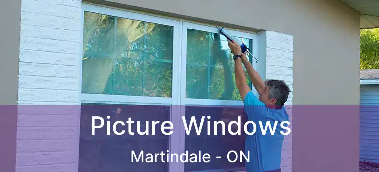 Picture Windows Martindale - ON