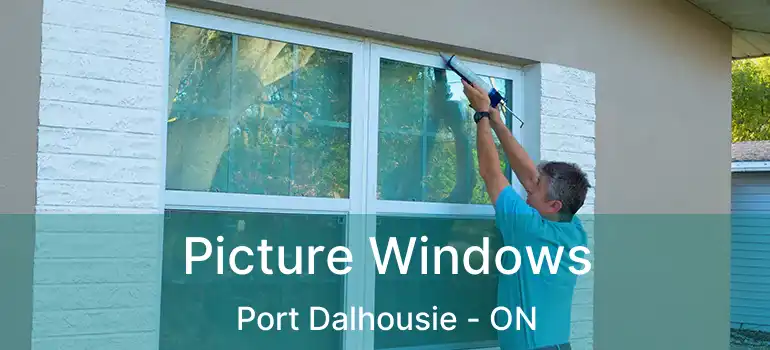 Picture Windows Port Dalhousie - ON