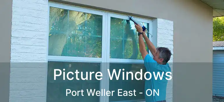  Picture Windows Port Weller East - ON
