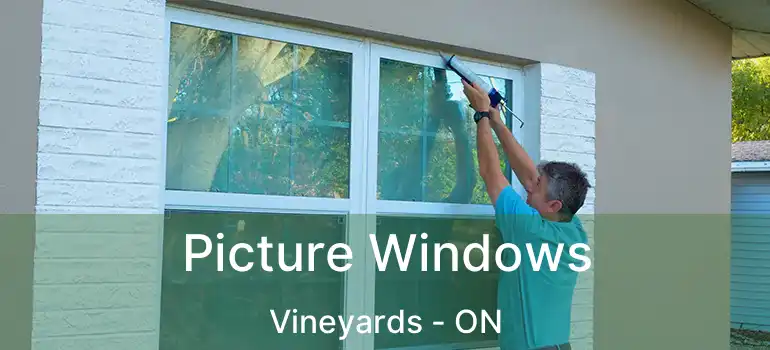  Picture Windows Vineyards - ON