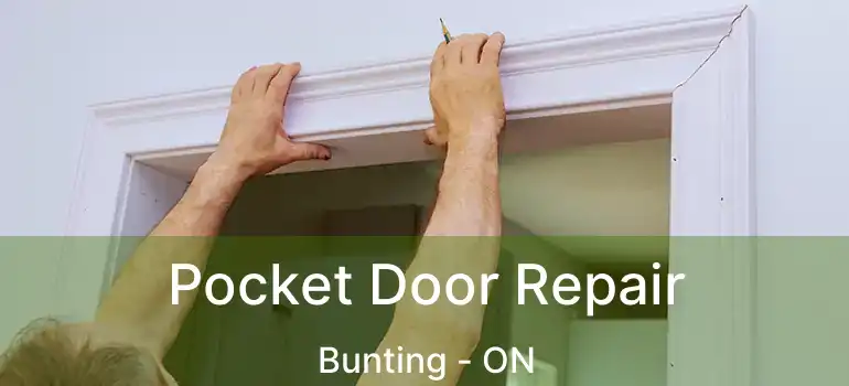  Pocket Door Repair Bunting - ON