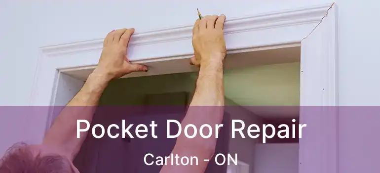  Pocket Door Repair Carlton - ON