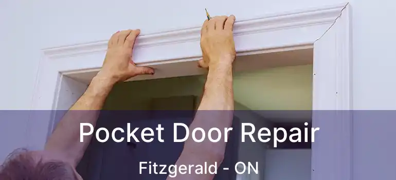  Pocket Door Repair Fitzgerald - ON
