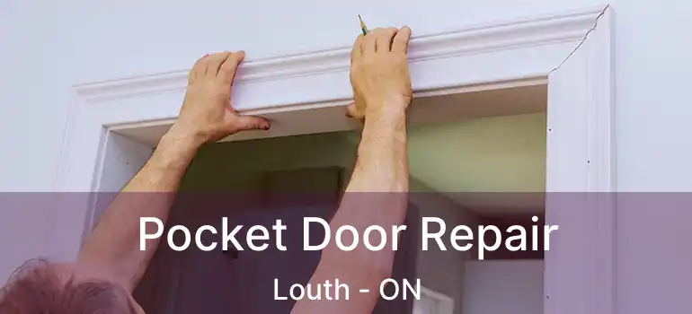  Pocket Door Repair Louth - ON
