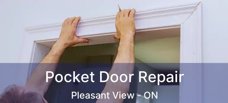  Pocket Door Repair Pleasant View - ON