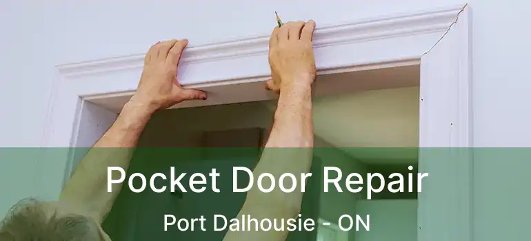  Pocket Door Repair Port Dalhousie - ON