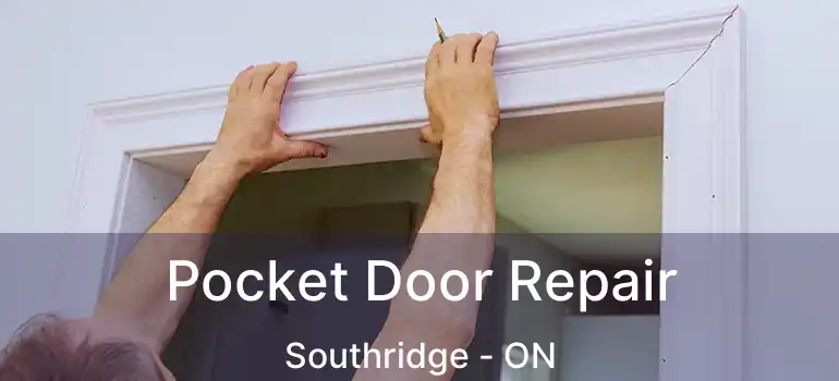  Pocket Door Repair Southridge - ON