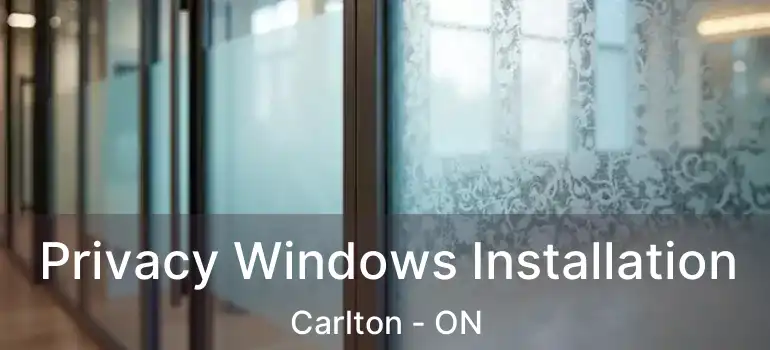  Privacy Windows Installation Carlton - ON