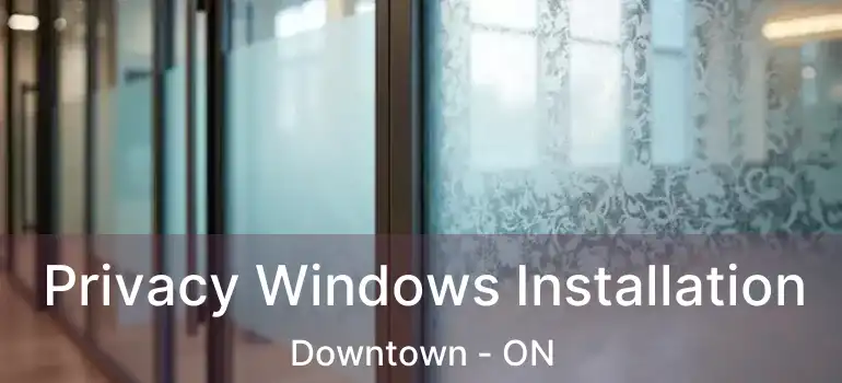 Privacy Windows Installation Downtown - ON
