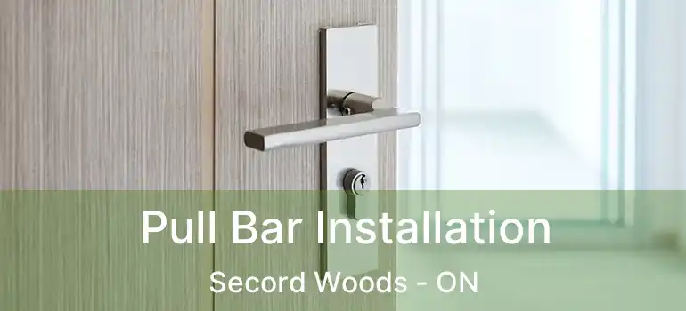 Pull Bar Installation Secord Woods - ON
