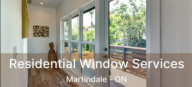 Residential Window Services Martindale - ON