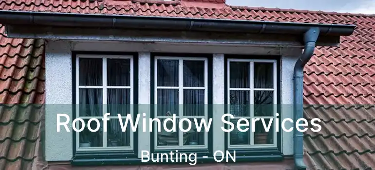  Roof Window Services Bunting - ON