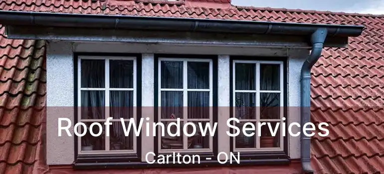 Roof Window Services Carlton - ON