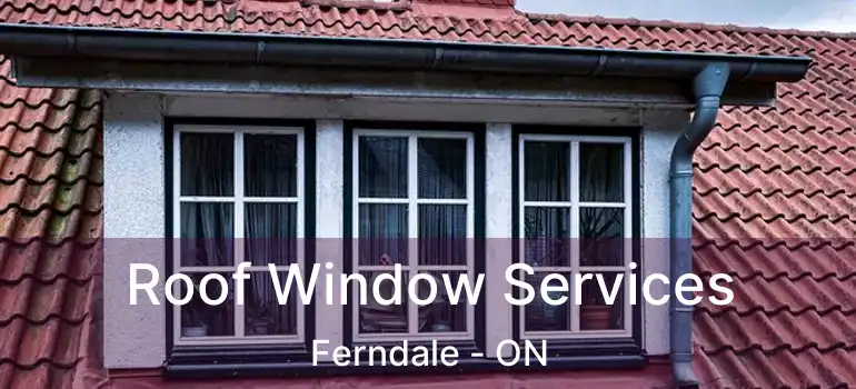  Roof Window Services Ferndale - ON