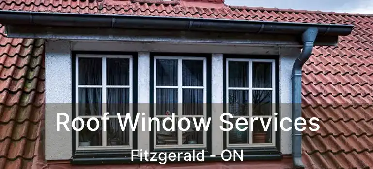  Roof Window Services Fitzgerald - ON