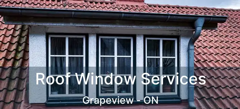 Roof Window Services Grapeview - ON