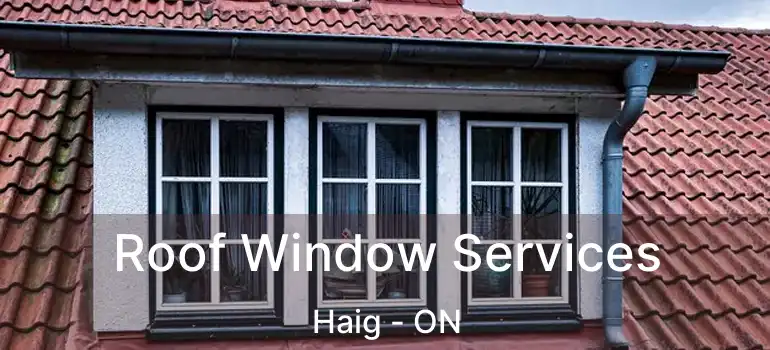 Roof Window Services Haig - ON