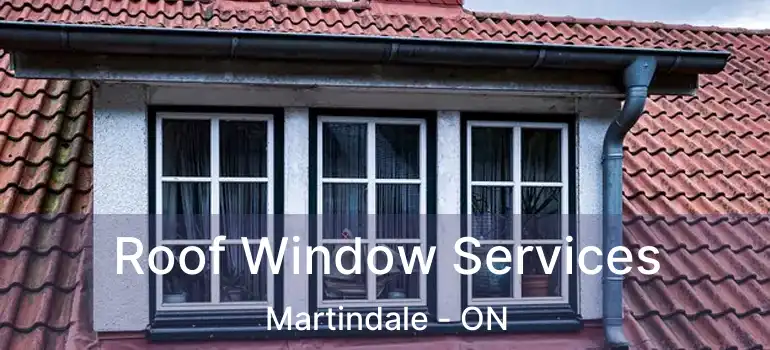 Roof Window Services Martindale - ON