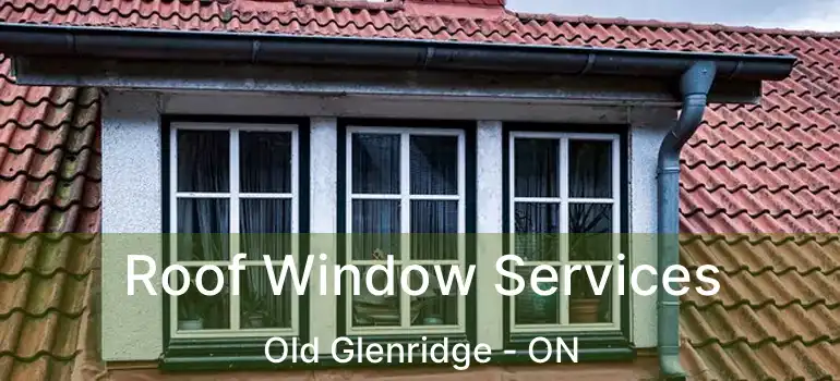 Roof Window Services Old Glenridge - ON