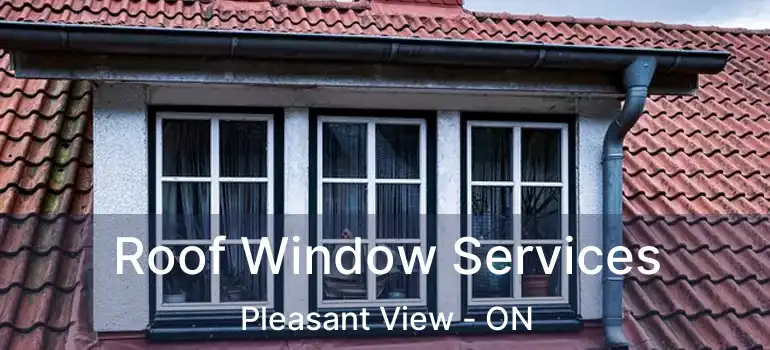  Roof Window Services Pleasant View - ON