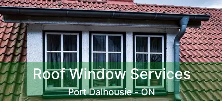  Roof Window Services Port Dalhousie - ON
