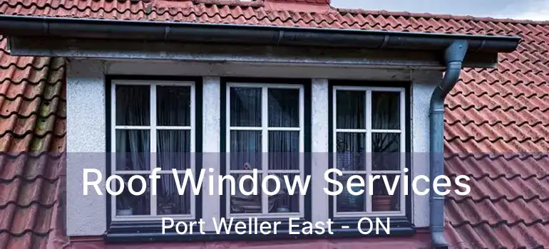 Roof Window Services Port Weller East - ON
