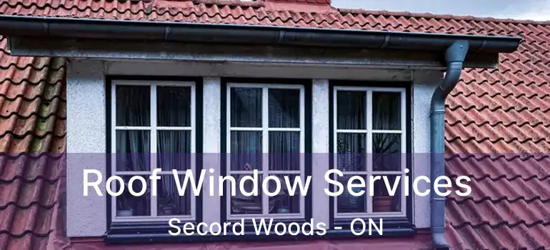 Roof Window Services Secord Woods - ON